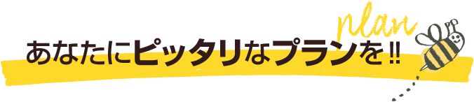 あなたにピッタリなプランを!!